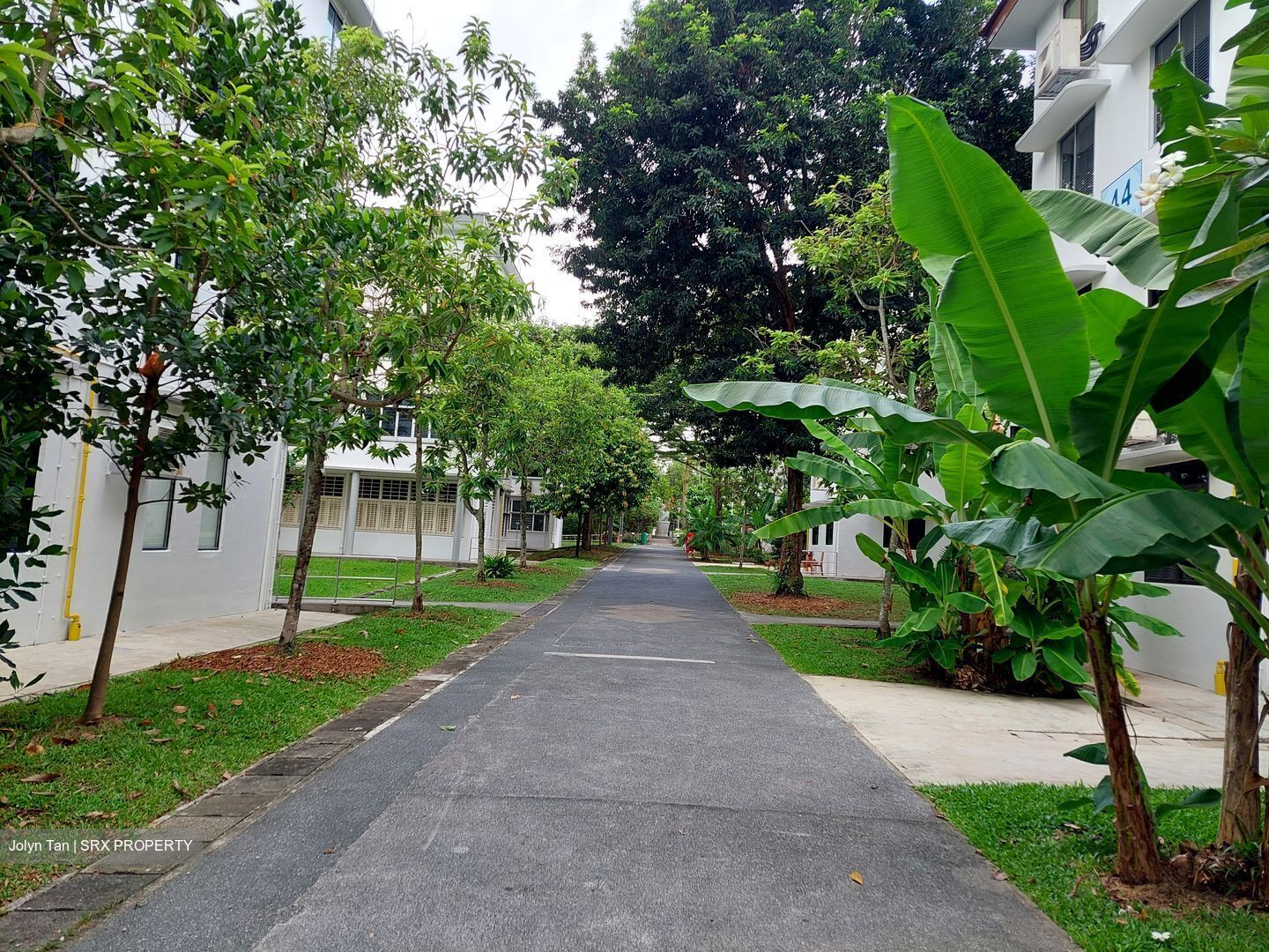 Blk 44 Moh Guan Terrace (Bukit Merah), HDB 3 Rooms #430523081